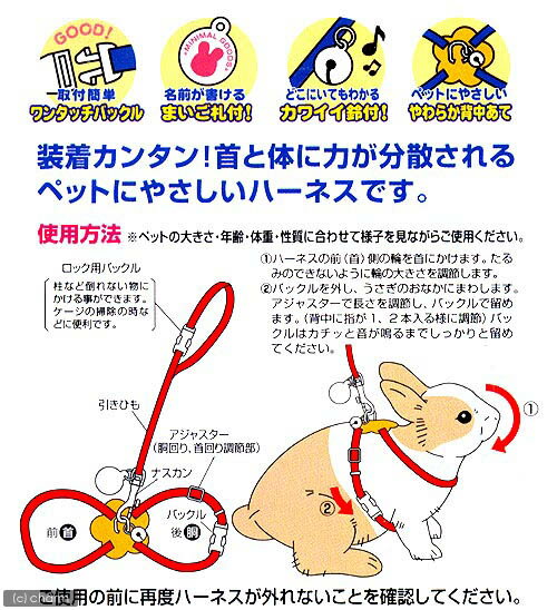 �ޥ륫�󡡤��������Τ��������ϡ��ͥ��ʥͥ��ӡ��ˡ����������ϡ��ͥ�������������