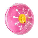 アウトレット品 マルカン くるくるフラワープチ ハムスター リス おもちゃ 訳あり 関東当日便
