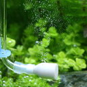 CO2拡散器 ミニCO2ストーン Neuveau(ヌーボ) ホワイト 関東当日便