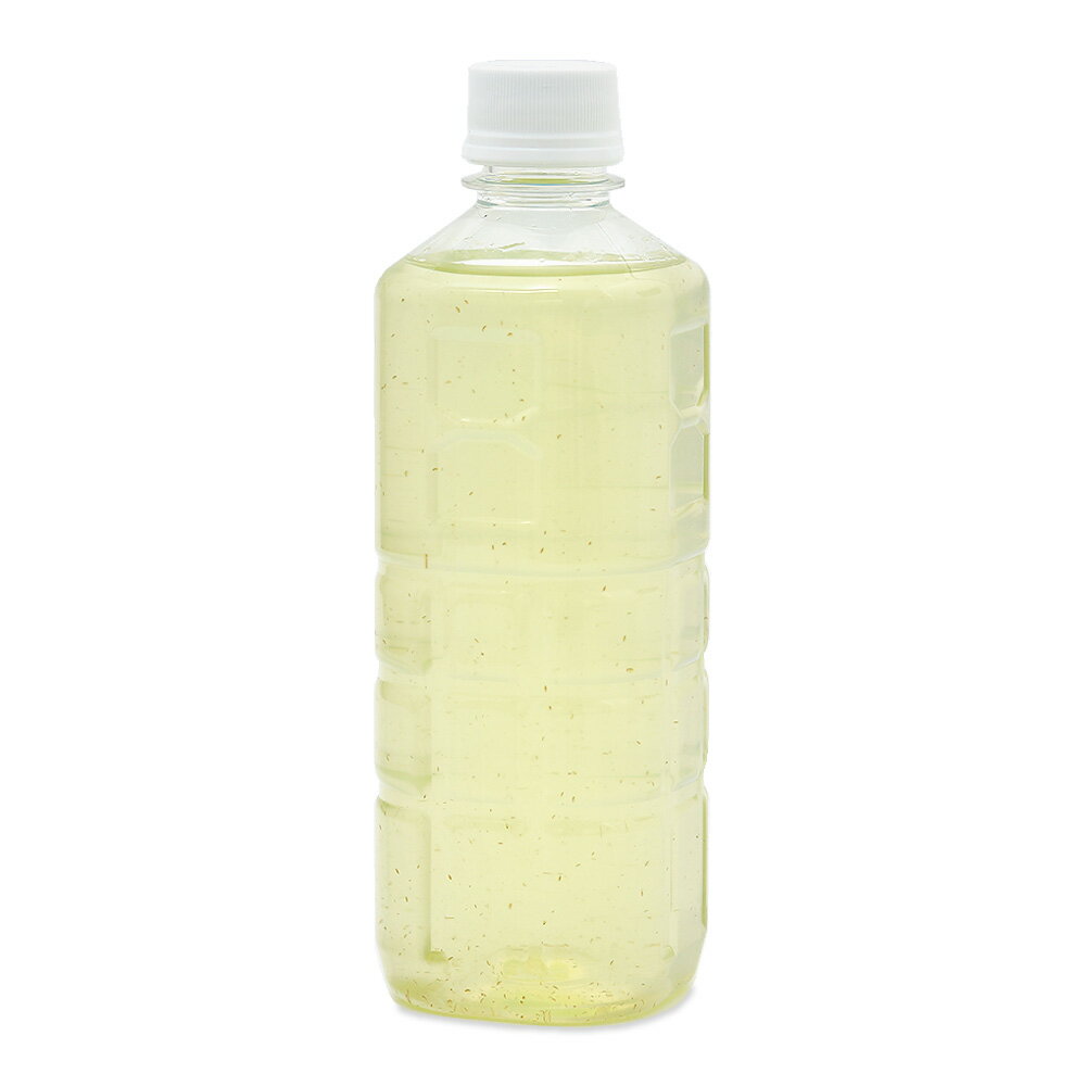 �����¡˻����ݾڤʤ������ޥߥ������������500ml��1�ܡ���¡��̳�ƻ���彣�Ҷ������ݲ�