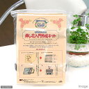 押し花入門作成キット 関東当日便