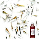 (生餌)(めだか)無選別 変わりメダカミックス 稚魚(10匹)+光合成細菌 PSBセット 本州四国限定