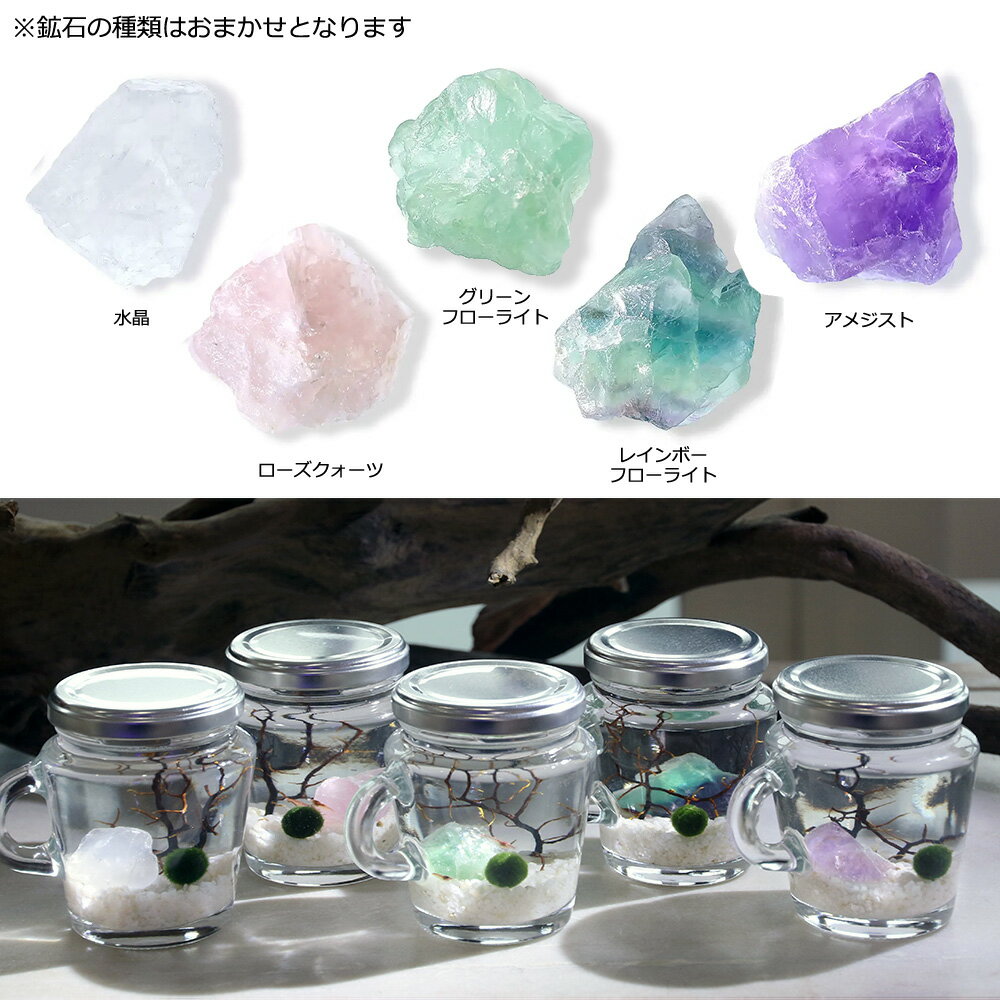 �ʥ��ӡ˥ۥ��ۥ����ޤ�����������ܥȥ�ʥ����ܥȥ���ˡ��ܽ��͹����