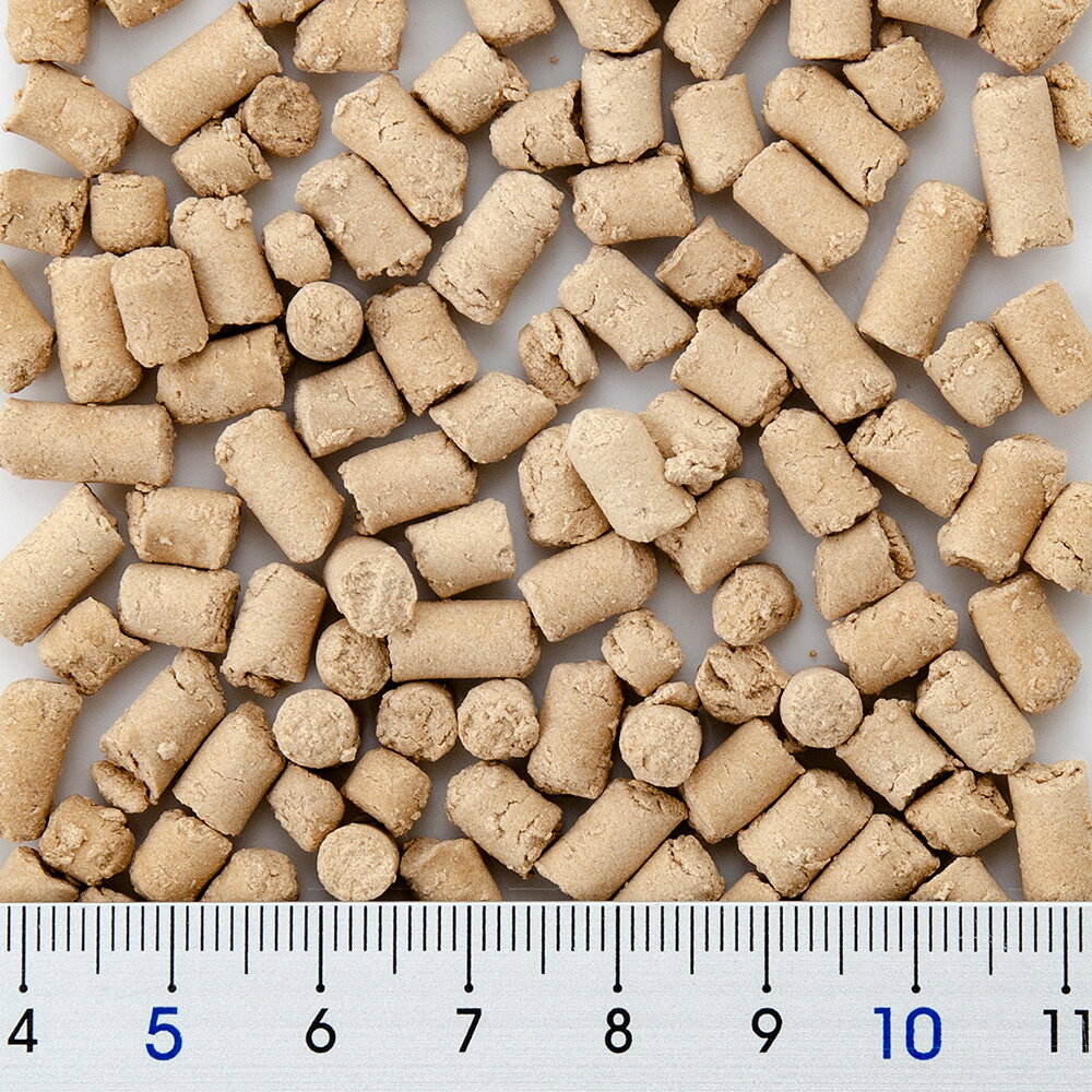 三晃商会　乳酸菌サプリ（お徳用）　100g　うさぎ　ハムスター　モルモット　チンチラ　関東当日便 chanet3980-10061509 charm 3980 楽天市場店 サンプル画像2