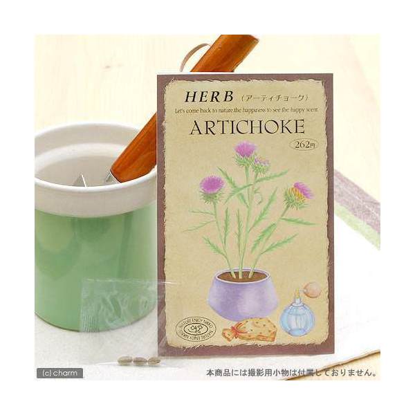 こころよい香りに酔いしれ、かわいい花を観賞！ハーブ　HERB　（アーティチョーク）特長●巨大な桃紫色、筒状の花は6〜10cm位の大きさとなり、銀緑色の葉とよく調和し、観賞用としても大変人気があります。詳細キク科　多年草草丈　100cm〜200cm発芽適温　15℃〜20℃種まき　春3月〜6月　・　秋9月〜10月開花時期　6月〜9月頃内容量　0．3mlご注意※種子は薬剤処理をしたものもありますので、食用・飼料用など、種子以外の用途に使用しないでください。※小児の手の届かないところに保管してください。※裁培条件や天候により結果が異なる場合がございます。植替え用土入れ器　3点セットハイポネックス　マグァンプK　中粒　500g　元肥　土に混ぜこむだけ　草花　球根 … _animal　ガーデニング　ハーブ　ガーデニング　野菜／果物・ハーブ　ハーブ　S06　ハーブの種　種まき3月　種まき4月　種まき5月　種まき6月　種まき9月　種まき10月　ucocg11　gardeng_fes0423　pd0816_gardening　seedPD0525　_gardening　4964545008265　育て方　育成方法　栽培方法　NZSH　herb2022■この商品をお買い上げのお客様は、下記商品もお買い上げです。※この商品には付属しません。■植替え用土入れ器　3点セットハイポネックス　マグァンプK　中粒　500g　元肥　土に混ぜこむだけ　草花　球根