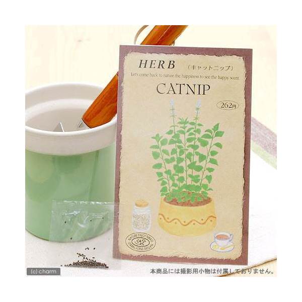 ハーブ　HERB　（キャットニップ）　品番：815　家庭菜園　関東当日便