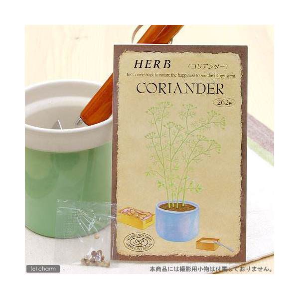 ハーブ　HERB　（コリアンダー）　品番：829　家庭菜園　関東当日便