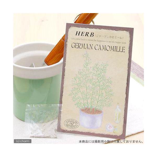 こころよい香りに酔いしれ、かわいい花を観賞！ ハーブティーや料理に利用して、味わいも楽しめるハーブ…。 あなたの手で育ててください。 ハーブ　HERB　（ジャーマンカモミール）　品番：807特徴 リンゴやパイナップルに似た甘い香りがあり、ハーブティーやお菓子の香りづけによく利用されています。詳細 ●きく科　1年草 ●草丈　30cm〜100cm ●発芽適温　15℃〜20℃ ●種まき　春3月〜6月　・　秋8月〜9月 ●開花時期　4月〜9月頃 ●内容量　0．1mlご注意※種子は薬剤処理をしたものもありますので、食用・飼料用など、種子以外の用途に使用しないでください。※小児の手の届かないところに保管してください。※裁培条件や天候により結果が異なる場合がございます。植替え用土入れ器　3点セットハイポネックス　マグァンプK　中粒　500g　元肥　土に混ぜこむだけ　草花　球根 … _animal　ガーデニング　ハーブ　ガーデニング　野菜／果物・ハーブ　ハーブ　S06　ハーブの種　種まき3月　種まき4月　種まき5月　種まき6月　種まき9月　種まき8月　pd0816_gardening　seedPD0525　_gardening　4964545008074　育て方　育成方法　栽培方法　herb2022■この商品をお買い上げのお客様は、下記商品もお買い上げです。※この商品には付属しません。■植替え用土入れ器　3点セットハイポネックス　マグァンプK　中粒　500g　元肥　土に混ぜこむだけ　草花　球根