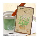 アウトレット品 ハーブ HERB (セージ) 品番:810 家庭菜園 訳あり 関東当日便