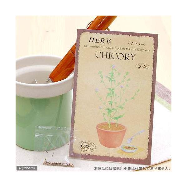 こころよい香りに酔いしれ、かわいい花を観賞！ハーブ　HERB　（チコリー）特長●美しく澄んだ青い花が夏〜秋まで楽しめます。●今日ではヨーロッパで栽培化されましたが、北アフリカ、シベリアなどでは野生種が多く分布しています。詳細キク科　多年草草丈　100cm〜150cm発芽適温　15℃〜20℃種まき　春3月〜5月　・　秋9月〜10月開花時期　6月〜8月頃内容量　0．2mlご注意※種子は薬剤処理をしたものもありますので、食用・飼料用など、種子以外の用途に使用しないでください。※小児の手の届かないところに保管してください。※裁培条件や天候により結果が異なる場合がございます。植替え用土入れ器　3点セットハイポネックス　マグァンプK　中粒　500g　元肥　土に混ぜこむだけ　草花　球根 … _animal　ガーデニング　ハーブ　ガーデニング　野菜／果物・ハーブ　ハーブ　S06　ハーブの種　種まき3月　種まき4月　種まき5月　種まき9月　種まき10月　ykign95　pd0816_gardening　seedPD0525　_gardening　4964545008302　育て方　育成方法　栽培方法　NZSH　herb2022■この商品をお買い上げのお客様は、下記商品もお買い上げです。※この商品には付属しません。■植替え用土入れ器　3点セットハイポネックス　マグァンプK　中粒　500g　元肥　土に混ぜこむだけ　草花　球根