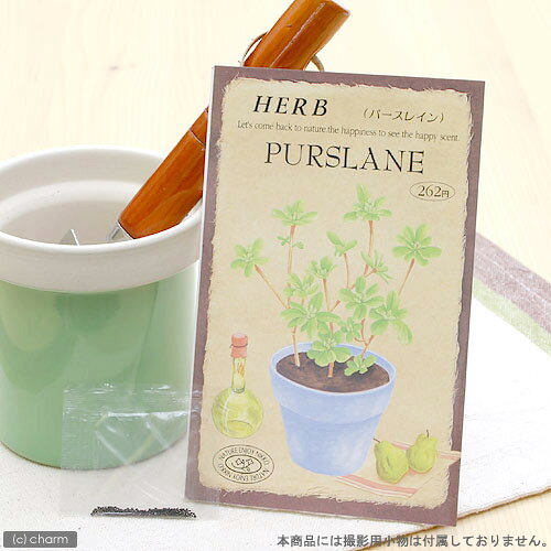こころよい香りに酔いしれ、かわいい花を観賞！ ハーブティーや料理に利用して、味わいも楽しめるハーブ…。 あなたの手で育ててください。 ハーブ　HERB　（パースレイン）　品番：836特徴 世界中の温帯、熱帯地方に広く分布し、16世紀のヨーロッパでは、特に人気のあったハーブです。 ビタミンCを含み、サラダ料理にもよく利用されます。詳細 ●スベリヒユ科　1年草 ●草丈　10cm〜30cm ●発芽適温　20℃〜25℃ ●種まき　春4月〜6月　・　秋9月〜10月 ●開花時期　5月〜9月頃 ●内容量　0．1mlご注意※種子は薬剤処理をしたものもありますので、食用・飼料用など、種子以外の用途に使用しないでください。※小児の手の届かないところに保管してください。※裁培条件や天候により結果が異なる場合がございます。植替え用土入れ器　3点セットハイポネックス　マグァンプK　中粒　500g　元肥　土に混ぜこむだけ　草花　球根 … ガーデニング　ハーブ　ガーデニング　野菜／果物・ハーブ　ハーブ　S06　ハーブの種　種まき4月　種まき5月　種まき6月　種まき9月　種まき10月　opqjk45　gardeng_fes0423　pd0816_gardening　seedPD0525　_gardening　herb2022■この商品をお買い上げのお客様は、下記商品もお買い上げです。※この商品には付属しません。■植替え用土入れ器　3点セットハイポネックス　マグァンプK　中粒　500g　元肥　土に混ぜこむだけ　草花　球根