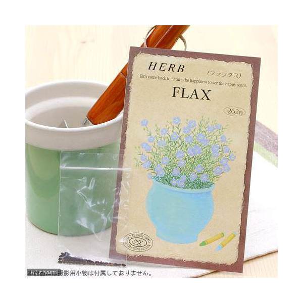 ハーブ　HERB　（フラックス）　品番：844　家庭菜園　関東当日便