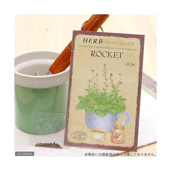 こころよい香りに酔いしれ、かわいい花を観賞！ハーブ　HERB　（ロケット）ルッコラ特長●古代エジプト時代よりつくられているハーブで、あまり大きく育てず、若くやわらかい葉を利用します。●美しい緑色の若葉は長楕円形で浅く切れ込み、ゴマの香りとピリッとしたからさが楽しめます。●またビタミンCも豊富で、あまり熱を加えない料理に適しています。詳細あぶらな科　1年草草丈　30cm〜100cm発芽適温　15℃〜20℃種まき　春4月〜5月・秋9月〜10月開花時期　6月〜8月頃内容量　0．3mlご注意※種子は薬剤処理をしたものもありますので、食用・飼料用など、種子以外の用途に使用しないでください。※小児の手の届かないところに保管してください。※裁培条件や天候により結果が異なる場合がございます。植替え用土入れ器　3点セットハイポネックス　マグァンプK　中粒　500g　元肥　土に混ぜこむだけ　草花　球根 … _animal　ガーデニング　ハーブ　ガーデニング　野菜／果物・ハーブ　ハーブ　S06　ハーブの種　種まき4月　種まき5月　種まき9月　種まき10月　lakic11　twofi25　pd0816_gardening　seedPD0525　_gardening　4964545008128　育て方　育成方法　栽培方法　herb2022■この商品をお買い上げのお客様は、下記商品もお買い上げです。※この商品には付属しません。■植替え用土入れ器　3点セットハイポネックス　マグァンプK　中粒　500g　元肥　土に混ぜこむだけ　草花　球根