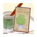 アウトレット品 ハーブ HERB (レモンバーム) 品番:804 家庭菜園 訳あり 関東当日便