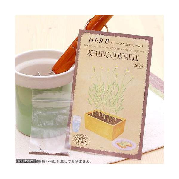 こころよい香りに酔いしれ、かわいい花を観賞！ ハーブティーや料理に利用して、味わいも楽しめるハーブ…。 あなたの手で育ててください。 ハーブ　HERB　（ローマンカモミール）　品番：842特徴 薬用として名声の高いハーブでドイツではムッテル（母）のハーブと呼ばれています。 花は純白で小さく、かわいいもので、観賞用としても楽しめます。詳細 ●キク科　多年草 ●草丈　20cm〜30cm ●発芽適温　15℃〜20℃ ●種まき　春3月〜6月　・　秋9月〜10月 ●開花時期　4月〜6月頃 ●内容量　0．1mlご注意※種子は薬剤処理をしたものもありますので、食用・飼料用など、種子以外の用途に使用しないでください。※小児の手の届かないところに保管してください。※裁培条件や天候により結果が異なる場合がございます。植替え用土入れ器　3点セットハイポネックス　マグァンプK　中粒　500g　元肥　土に混ぜこむだけ　草花　球根 … _animal　ガーデニング　ハーブ　ガーデニング　野菜／果物・ハーブ　ハーブ　S06　ハーブの種　種まき3月　種まき4月　種まき5月　種まき6月　種まき9月　種まき10月　seedPD0525_gardening　4964545008425　育て方　育成方法　栽培方法　herb2022■この商品をお買い上げのお客様は、下記商品もお買い上げです。※この商品には付属しません。■植替え用土入れ器　3点セットハイポネックス　マグァンプK　中粒　500g　元肥　土に混ぜこむだけ　草花　球根