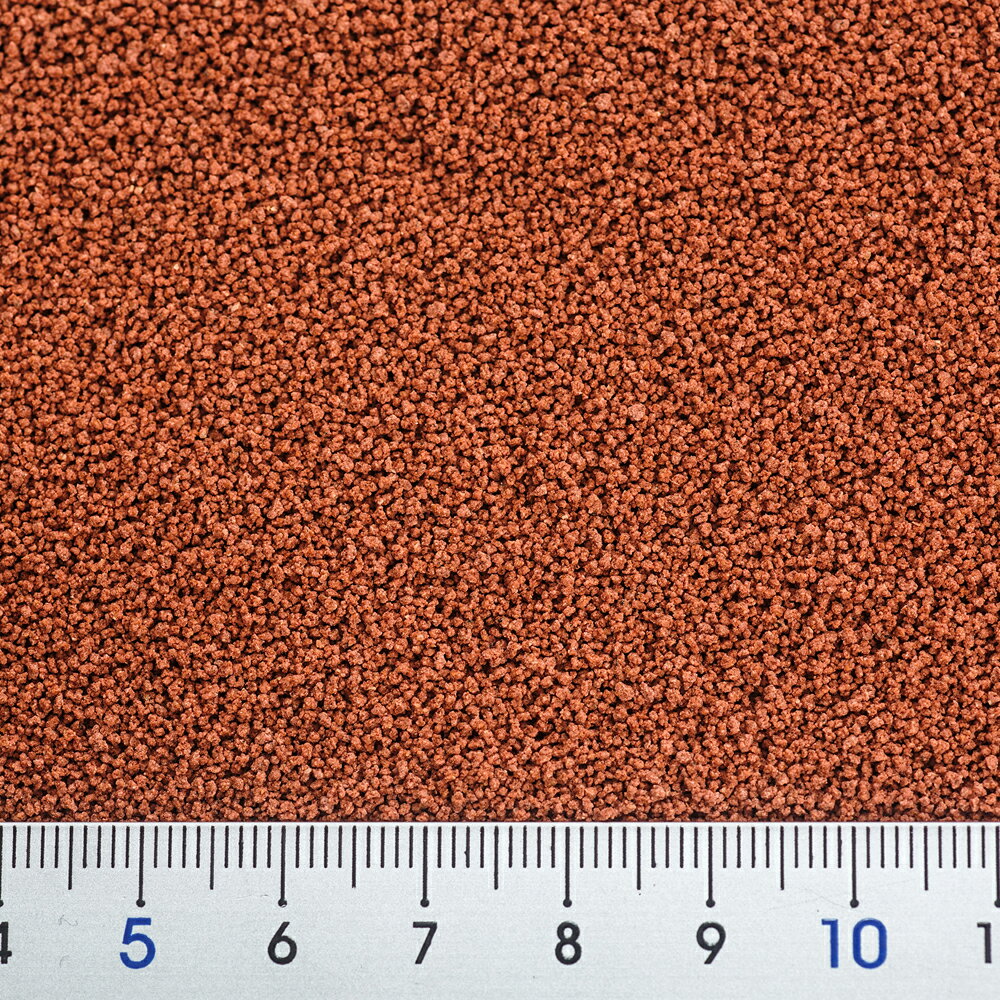 ���硼��󡡤Ҥ��ꥯ�쥹�ȡ����饷��12g���������50���¤ꡡ����������