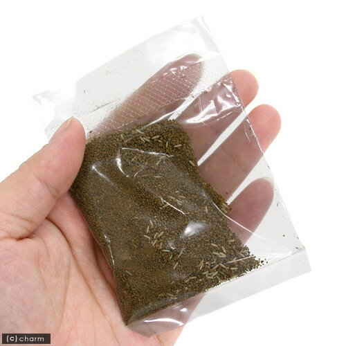 ����ʥ����ॷ�ˤΤ��ޤ�����30����������������