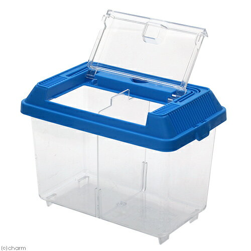 �����ȥ�å��ʡ��ե��Τߡ�����̵���ˡ������ƴ�ߥˡ��ġ�175��105��140mm�ˡ����ڤ��դ������ڤ���꼰�������ꡡ����������