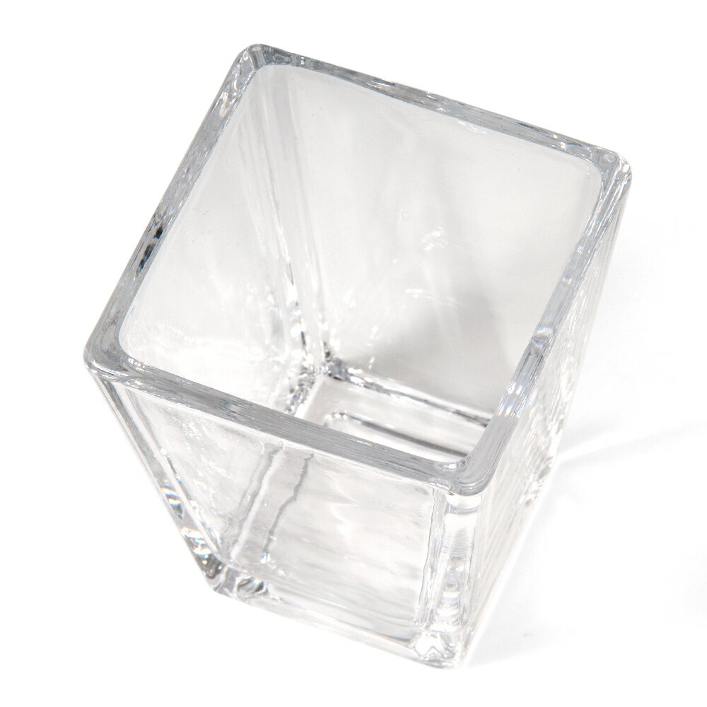 ガラスベース スクエアグラス S エアプランツ 多肉植物 ティランジア ガラス 関東当日便 [3]