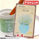 使用期限:2025年05月31日 お買い得品4個セット ハーブ HERB (フラックス) 品番:844 家庭菜園 訳あり 関東当日便