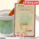 使用期限:2025年05月31日 お買い得品5個セット ハーブ HERB (キャラウェイ) 品番:823 家庭菜園 訳あり 関東当日便