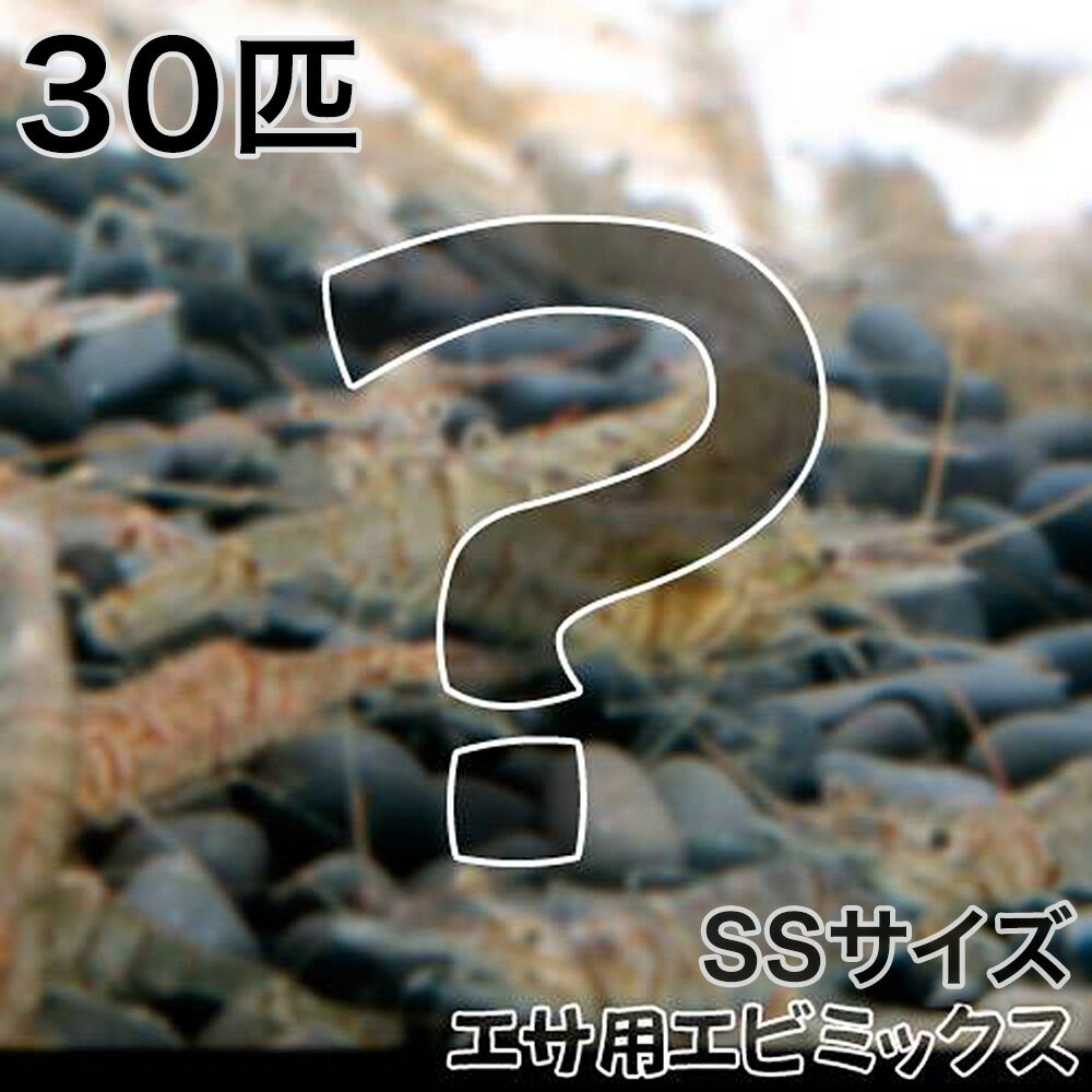 （エビ）エサ用エビミックス　SSサイズ（30匹）