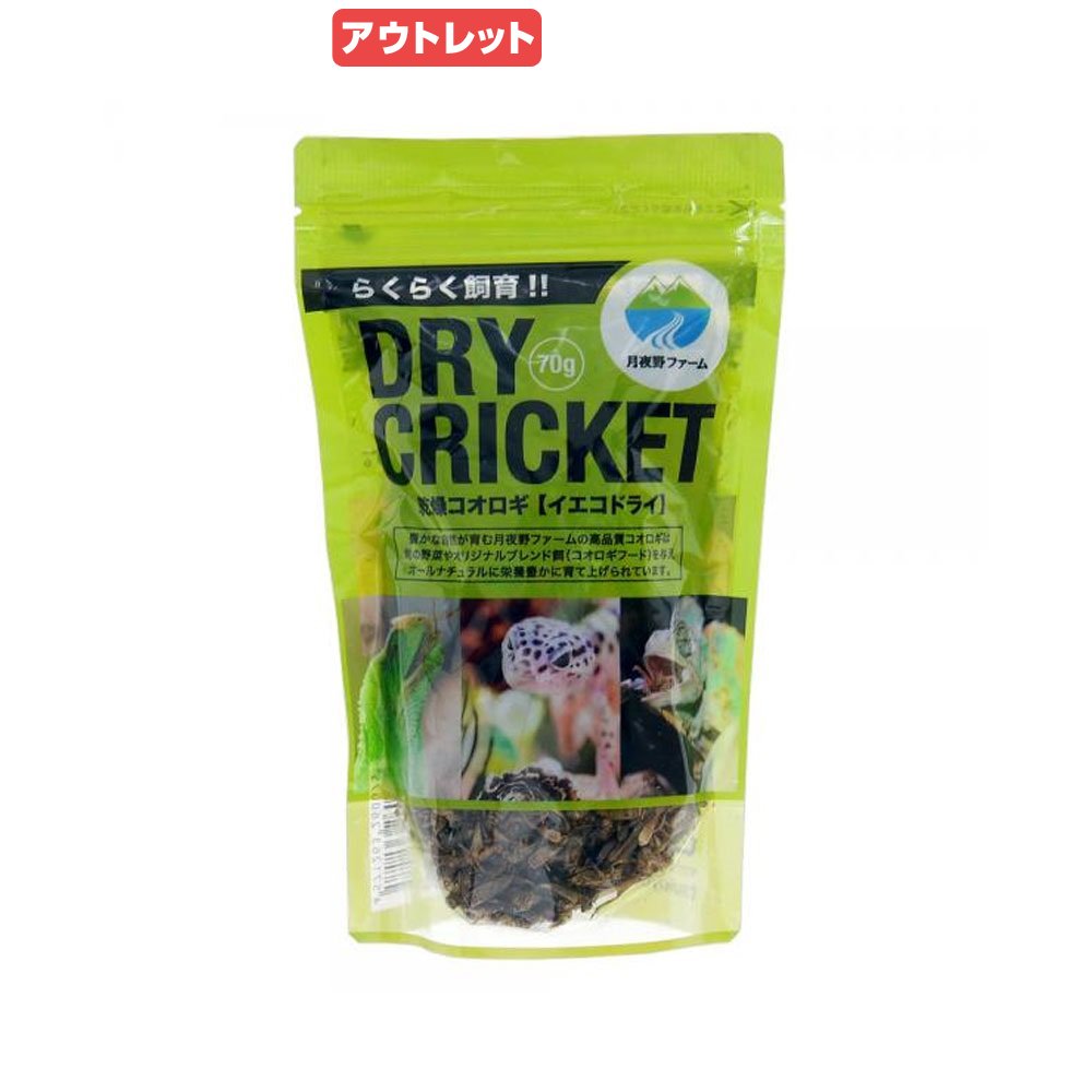 消費期限：2026年05月08日　イエコドライ　70g　爬虫類　餌　エサ　訳あり　関東当日便