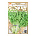 野菜の種 サラダ京水菜 品番:1129 家庭菜園 関東当日便