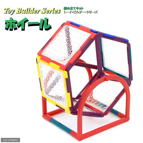 �ȡ����ӥ�������ۥ����롡�ȥ�ͥ롡������㡡����������