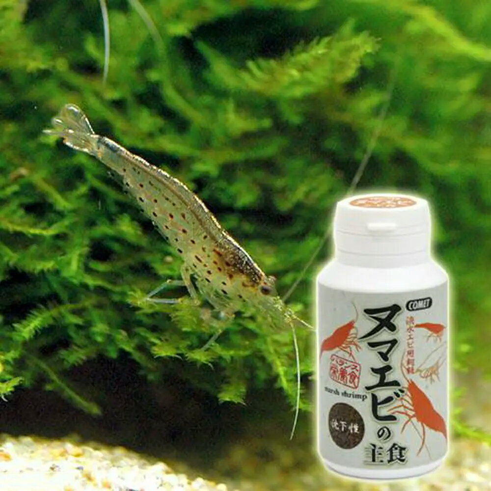 ����åȡ��̥ޥ��Ӥμ翩����������40g������������