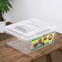 プラケース 飼育容器 特大フラット クリア(430×340×190mm) 虫かご 昆虫 お一人様4点限り 関東当日便