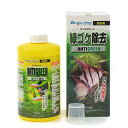 カミハタ アンチグリーン 500mL 淡水用 関東当日便