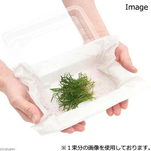 �ʿ���˥��֥饰�饹�ʿ���աˡ�̵�����ˡ�3«��