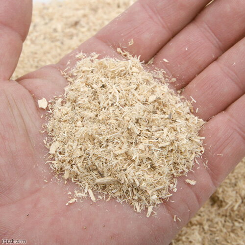 ����ޥåȡ�B6�����ʤ��ʥޥåȡ�10L�����������ߡ�̵ź�á�����������