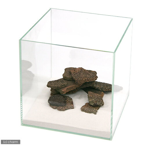 ���饤���ϴ��С�1L������������