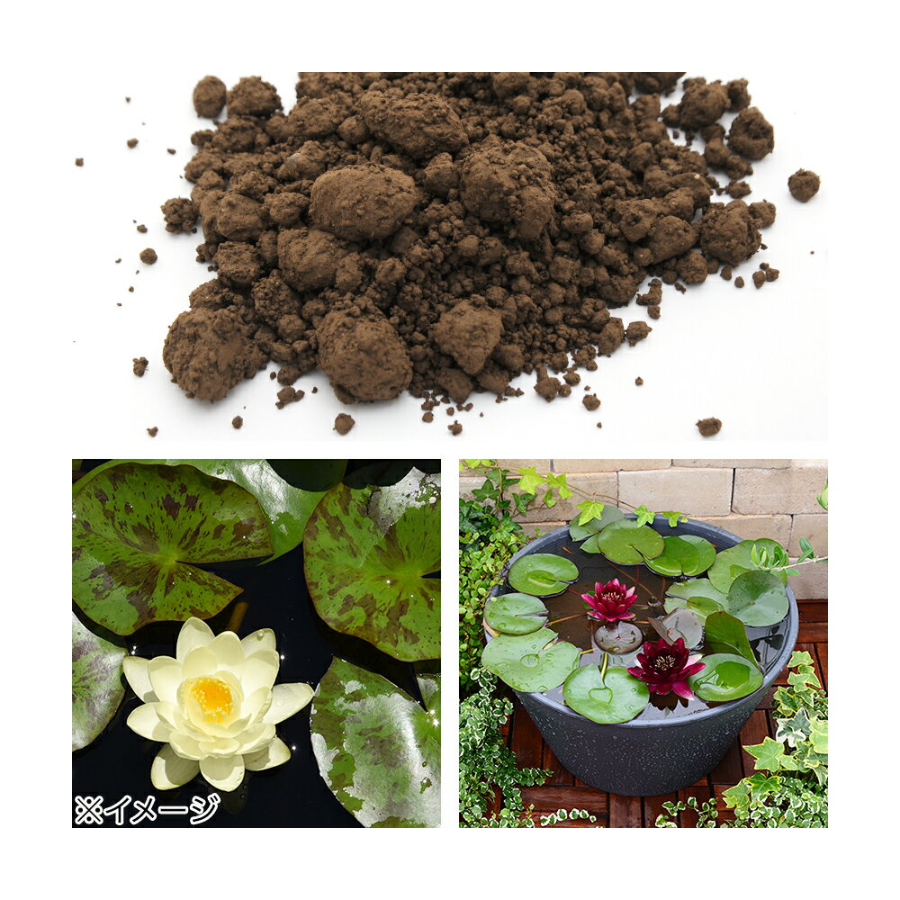 �����ڡ�No��49���ӥ����ڡʿ����Ǵ�ڡˡ�9��åȥ��2�ޥ��åȡ��������1���¤ꡡ����������