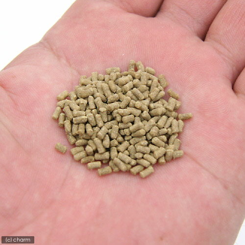 �ޥ륫�󡡥�ɥ��������30g��������ɥ��ꡡ�ա��ɡ��������¡�����������