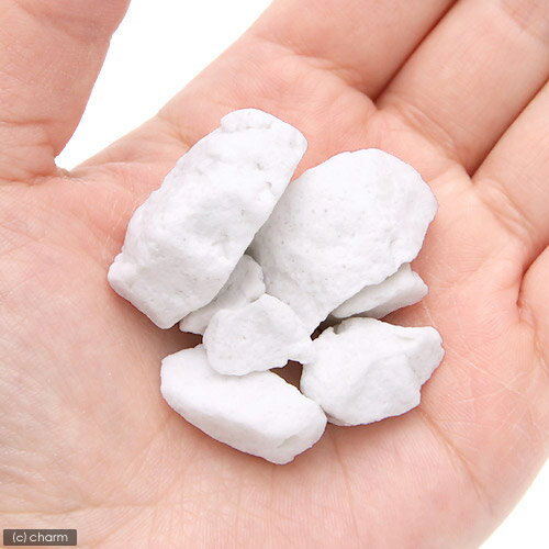 �֤�����������ƥʥ����ɡ��ۥ磻�ȥ��ȡ���5L������������