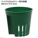 ハイドロカルチャー用内容器 直径6×高さ5.5cm 関東当日便