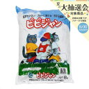 猫砂 お一人様5点限り ピピジャン 8L 猫砂 紙 固まる 燃やせる 関東当日便