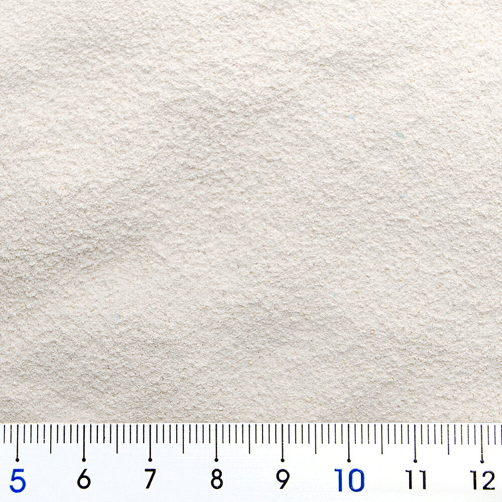 犬　サプリ　ネクトン　ドッグ−VM　30g　NEKTON　DOG−VM　犬用栄養補助食品　関東当日便 chanet3980-10023868 charm 3980 楽天市場店 サンプル画像2