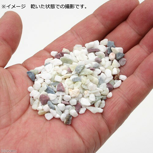 GEX������κ������ʥ�����ߥå�����2��5kg������������