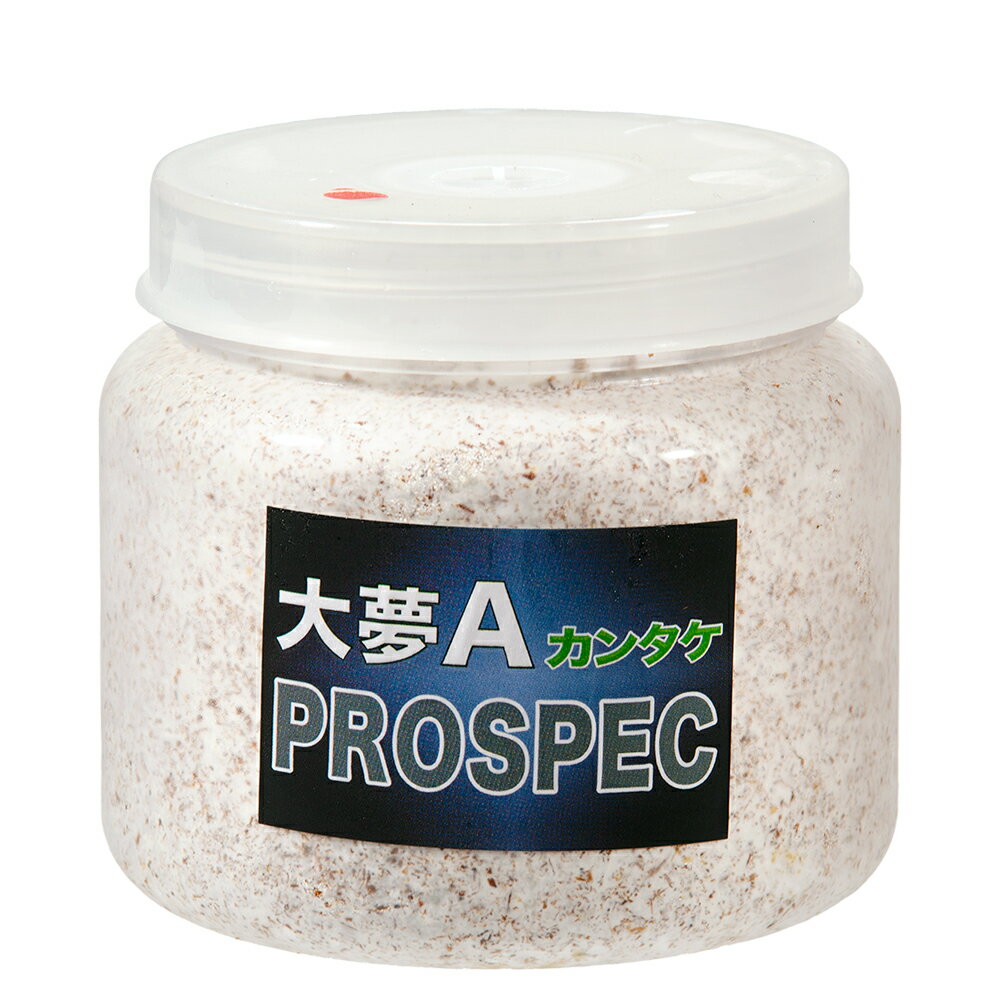 �ݻ�ӥ���̴A���ץ����ڥå����ʥ��󥿥��ˡ����ꥢ���ܥȥ롡500cc��5��