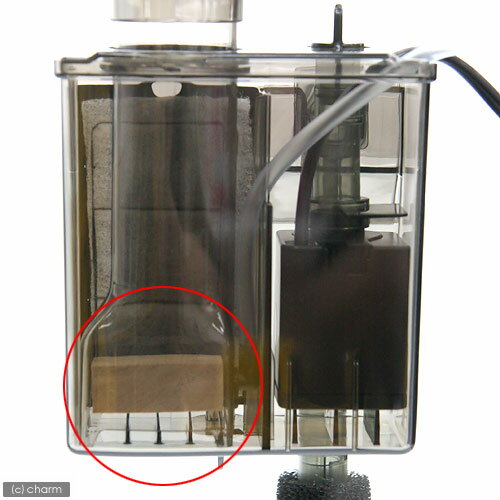 ���ѡ����ߥϥ�����ƻ��Ƹ���ץ��ƥ��󥹥��ޡ������ѥ��åɥ��ȡ��󡡾����ʥ�������եȼ��ˡ�����������