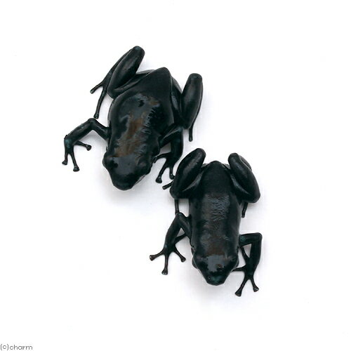 ��ξ����˥ޥ����ɥ������롡�֥�å���black�ɡ�1ɤ�ˡ��̳�ƻ���彣�Ҷ������ݲ�