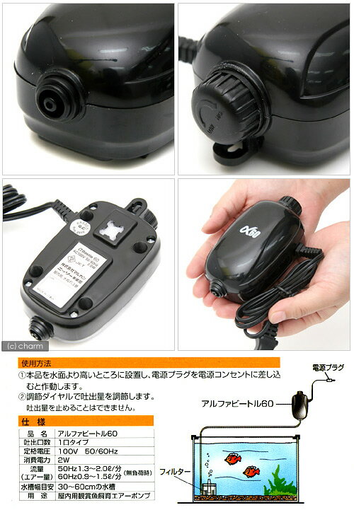 �˥å������������ݥ�ס����ӡ��ȥ롡60��30��60cm�����ѥ������ݥ�ס�����������