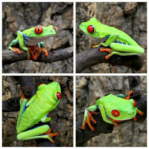 ��ξ����˥����ᥢ�ޥ����롡WC���Ρ�ML��������1ɤ�ˡ��̳�ƻ���彣�Ҷ������ݲ�