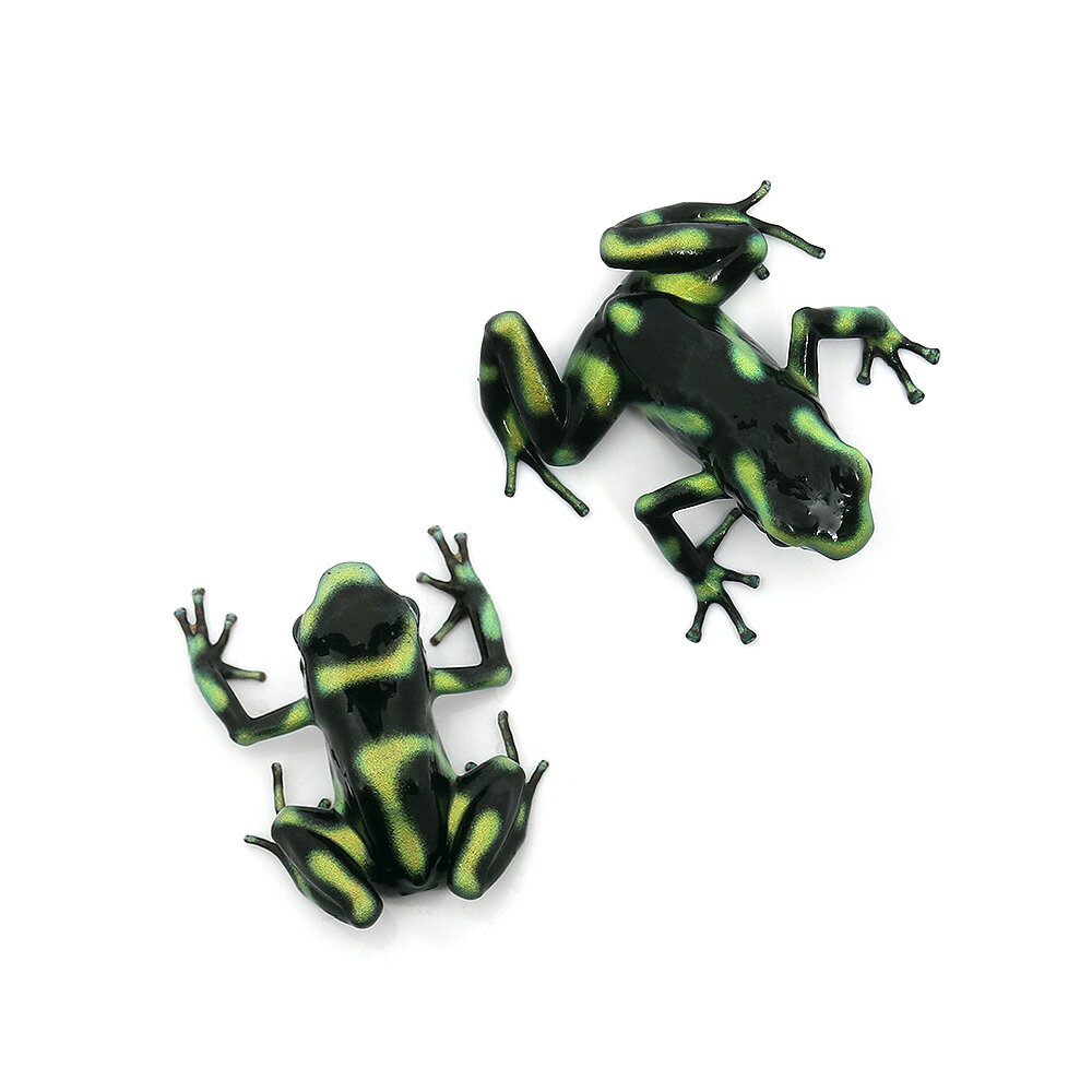 ��ξ����˥ޥ����ɥ������롡�ѥ�ޥΡ��ơ�palmar��norte�ɡ�1ɤ�ˡ��̳�ƻ���彣�Ҷ������ݲ�