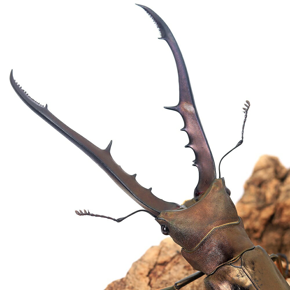 �ʺ���˥᥿��ե���ۥ��������塞�����ڥ�󻺡����WC��85��89mm��1�ڥ��ˡ��̳�ƻ���彣�Ҷ������ݲ�