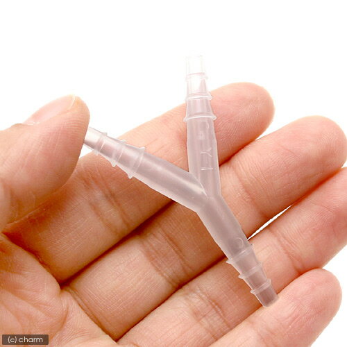 Y�����塼�֥��ͥ�������Y��1�ˡ�PP��PY��S������������